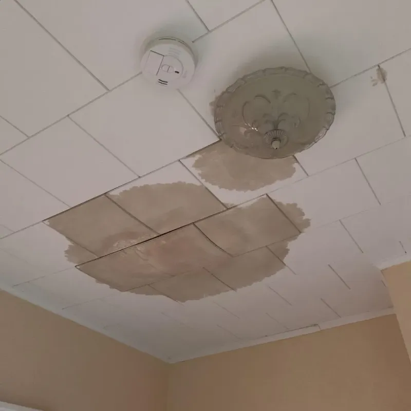 Ceiling Water Damage Repair in Stedman, NC