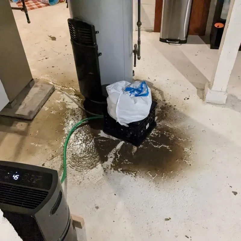 Sewage Backup Cleanup Service in Stedman, NC
